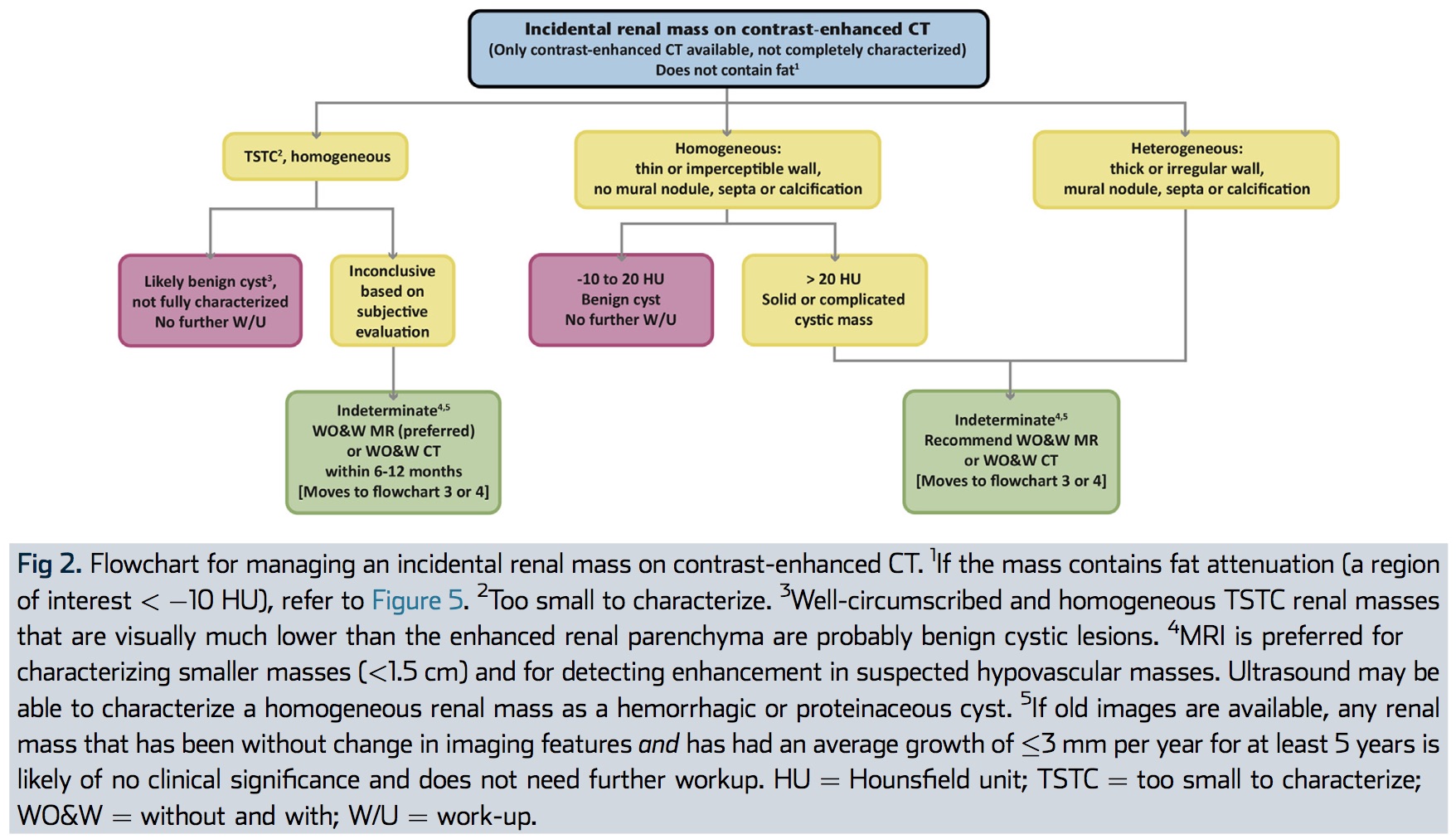 Incidental renal mass on CECT